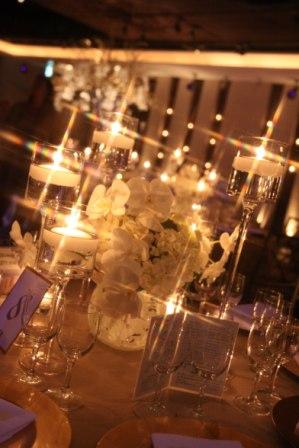 IMG_0721 IMG_0721