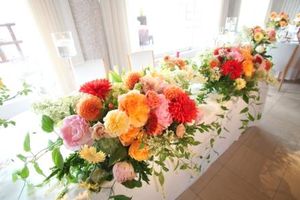 IMG_0225 IMG_0225
