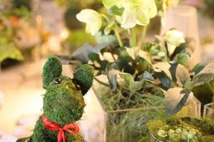IMG_7373 IMG_7373