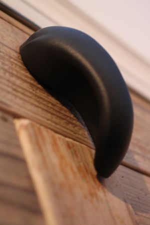 黒いみみ? 黒いみみ?