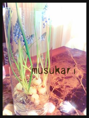 2013-02-26-15-54-57_deco 2013-02-26-15-54-57_deco