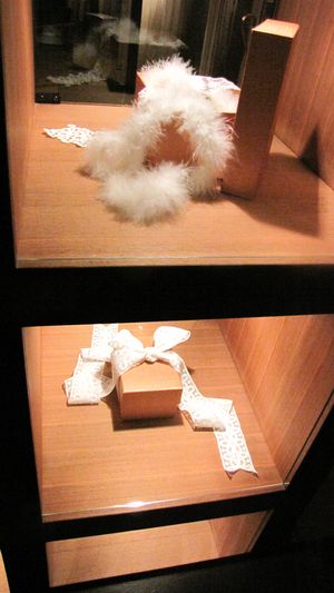 IMG_0858 IMG_0858