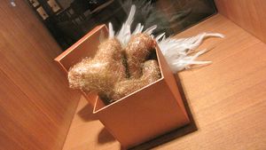 IMG_0856 IMG_0856