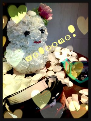 2013-02-25-22-33-21_deco 2013-02-25-22-33-21_deco