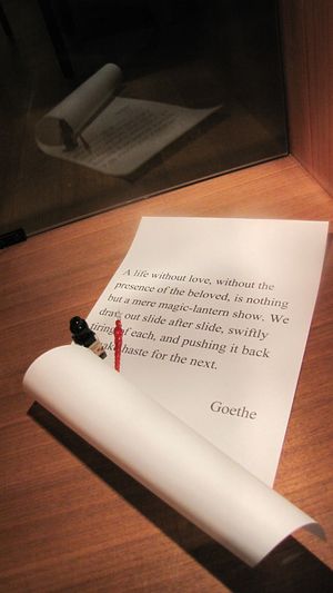 IMG_0846 IMG_0846