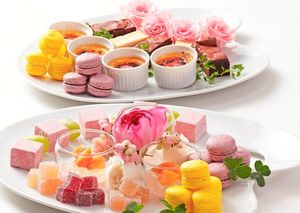 シュクレ シュクレ