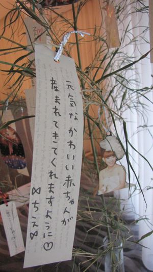 IMG_1247 IMG_1247