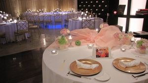 IMG_1215 IMG_1215