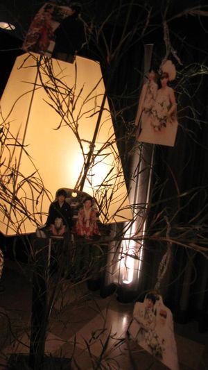 IMG_1220 IMG_1220