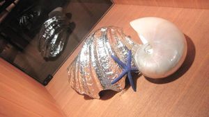 IMG_1180 IMG_1180