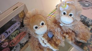IMG_0790 IMG_0790