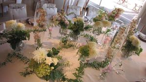 IMG_0788 IMG_0788