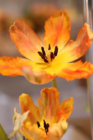 IMG_0627 IMG_0627