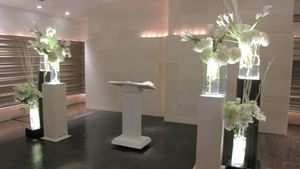 IMG_1096 IMG_1096