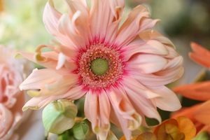 IMG_0617 IMG_0617