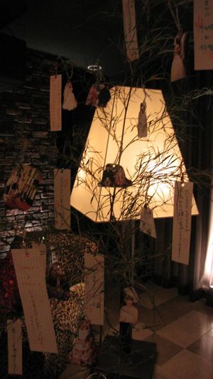 IMG_1219 IMG_1219