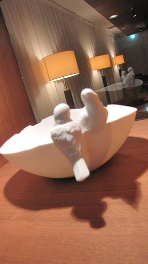 IMG_1177 IMG_1177