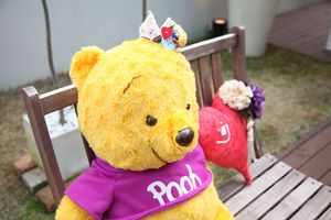 Ih0003 Ih0003