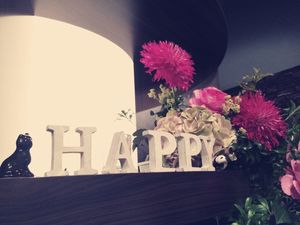 IMG_6555 IMG_6555